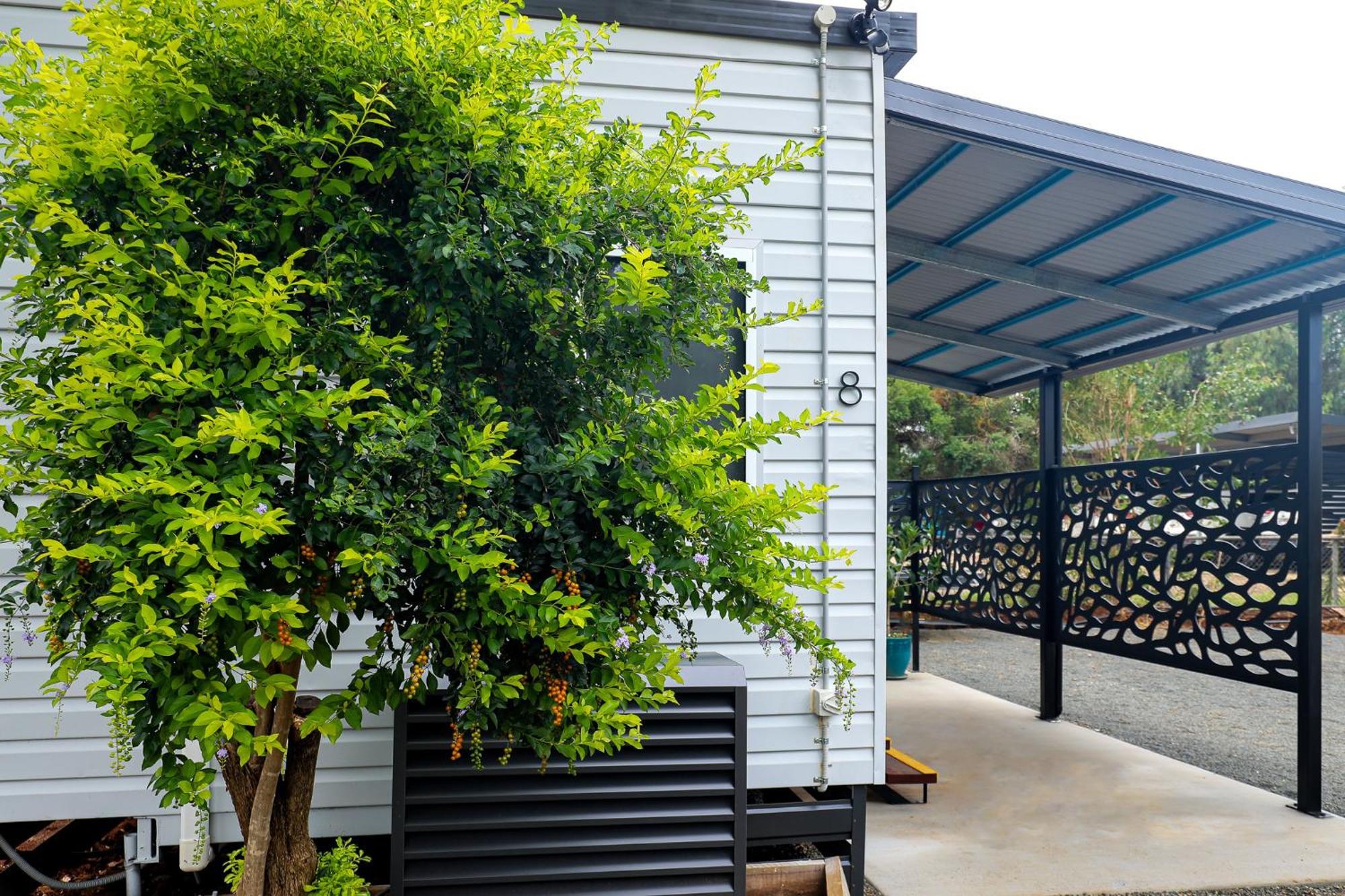 Kingaroy Holiday Park المظهر الخارجي الصورة